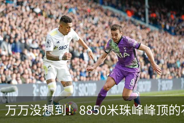 万万没想到!8850米珠峰峰顶的石头,竟来自4亿年前的海底!